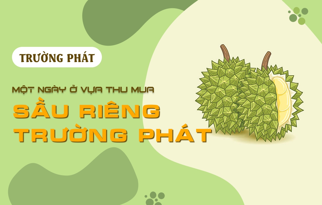 🚛 Một Ngày Ở Vựa Thu Mua Sầu Riêng Trường Phát