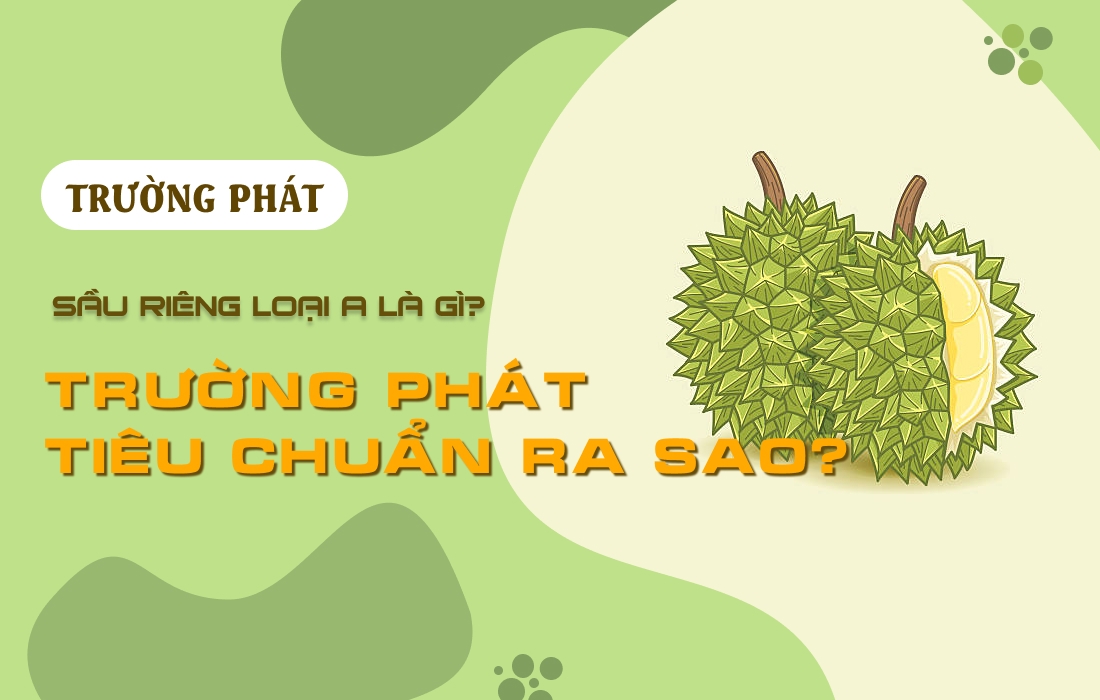 🧐 Sầu Riêng Loại A Là Gì? Trường Phát Tiêu Chuẩn Ra Sao?