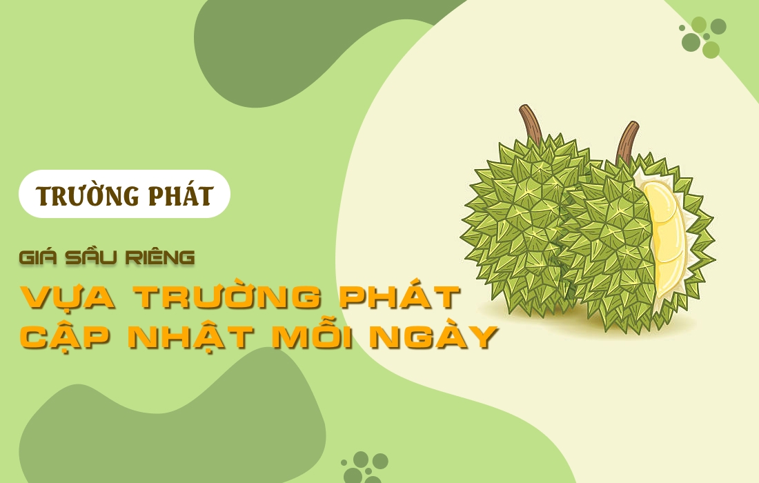 💰 Giá Sầu Riêng Tại Vựa Trường Phát – Cập Nhật Mỗi Ngày