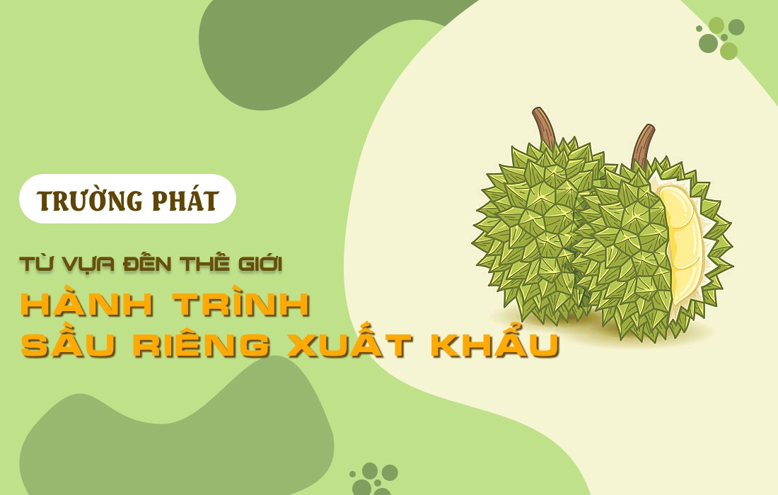 📦 Từ Vựa Đến Thế Giới – Hành Trình Sầu Riêng Xuất Khẩu
