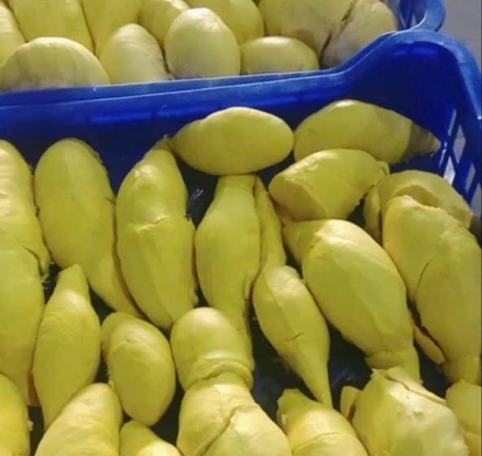 Sầu riêng lột múi