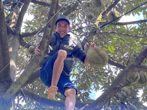 Vườn Sầu Riêng